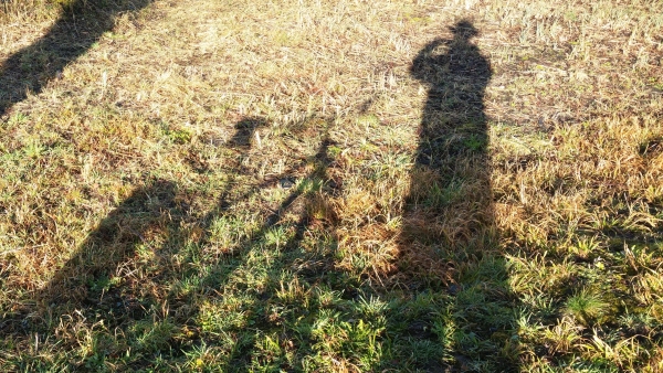 Sonne und ihre Schatten